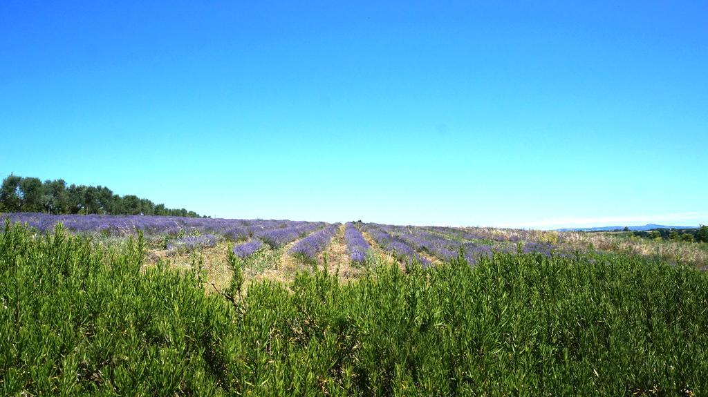 Agriturismo San Giusto Tuscania Bagian luar foto